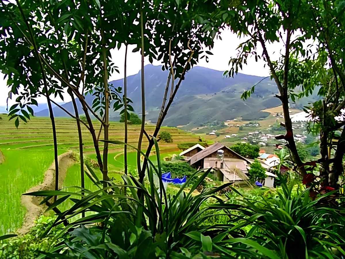 Vị trí Miku Chill House hòa mình thiên nhiên, thuận tiện kết nối trung tâm Sa Pa