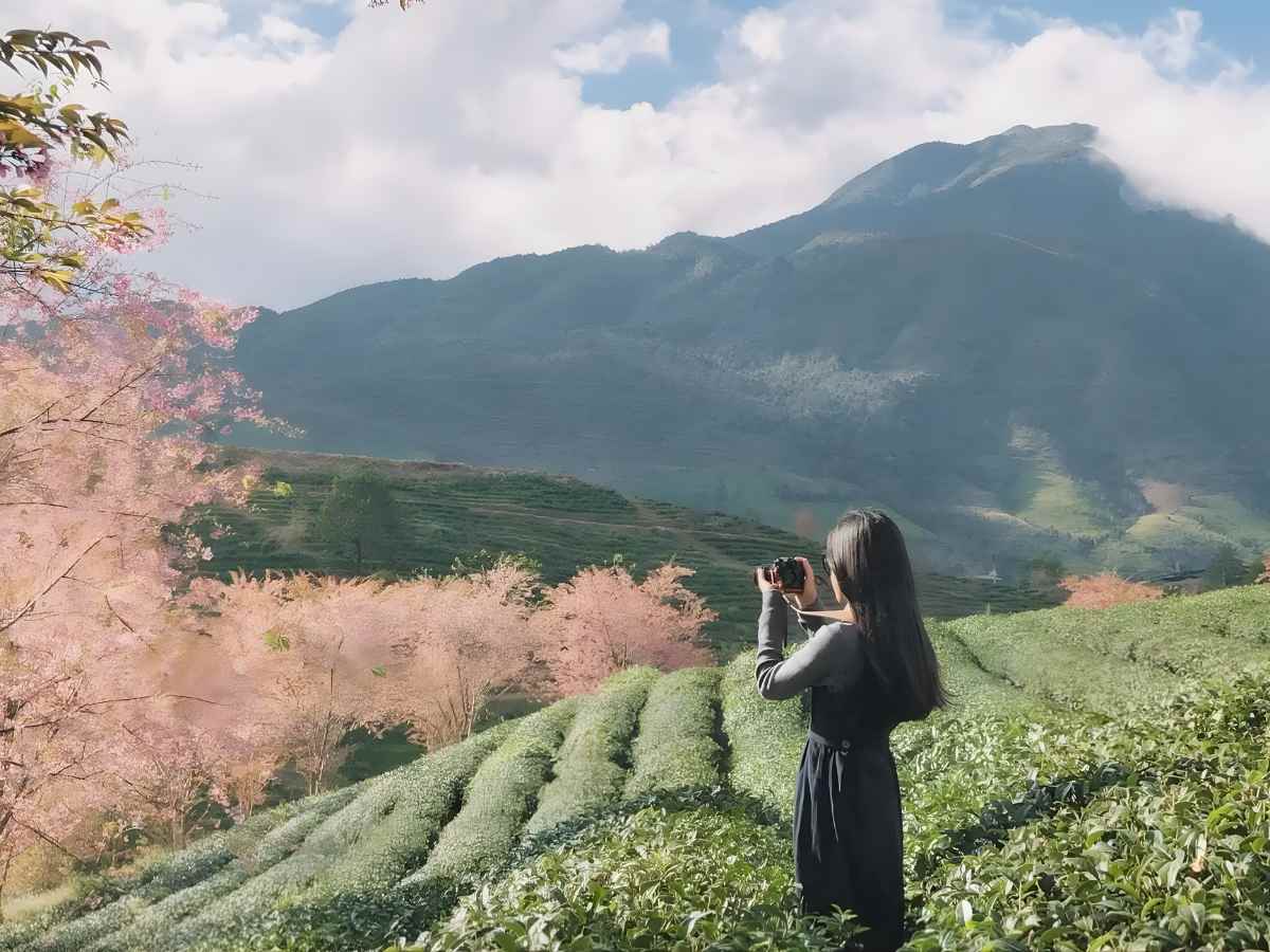 Lịch trình 2 ngày 1 đêm tại Sen Sa Pa Retreat & Tours nhẹ nhàng, thư giãn.