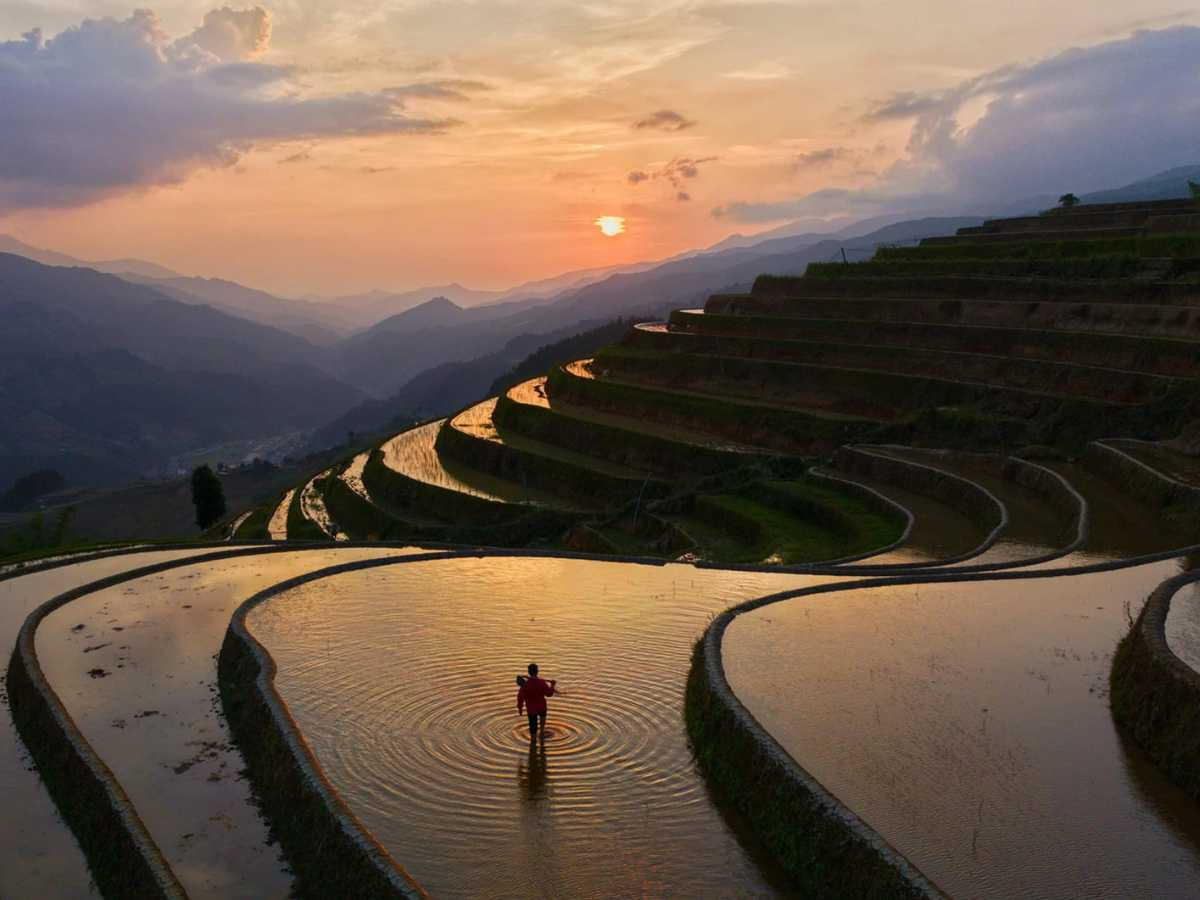 Mùa nước đổ Mù Cang Chải phản chiếu mây trời, vàng rực trên thửa ruộng