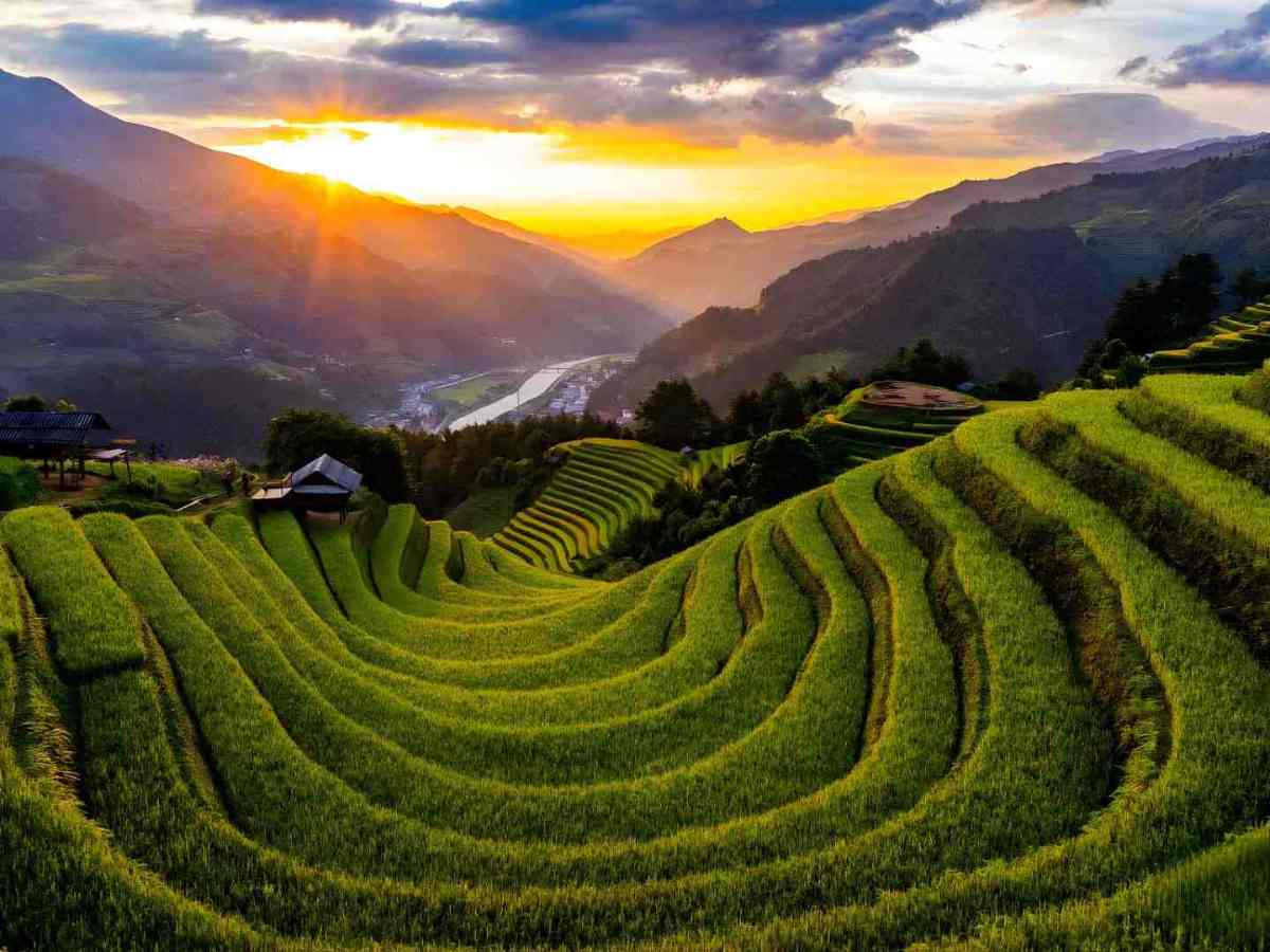 Ruộng bậc thang Tây Bắc phản ánh canh tác lâu đời của bản địa. (