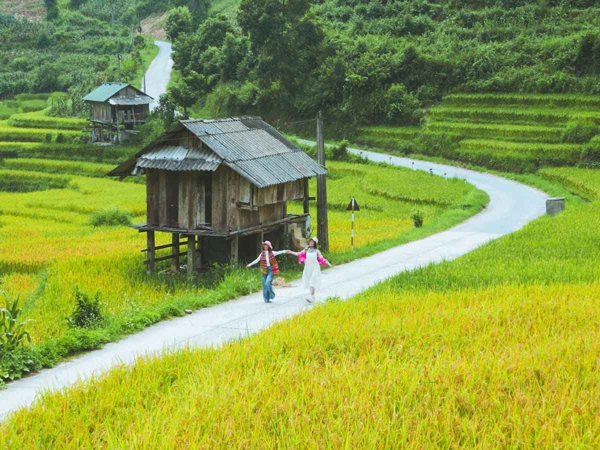 Lối nhỏ uốn giữa ruộng bậc thang, nhà sàn bình bên suối.