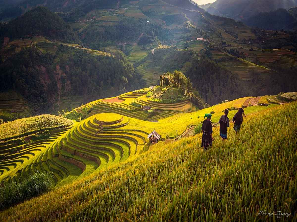 Không gian ruộng bậc thang uốn lượn theo sườn núi tạo nên khung cảnh