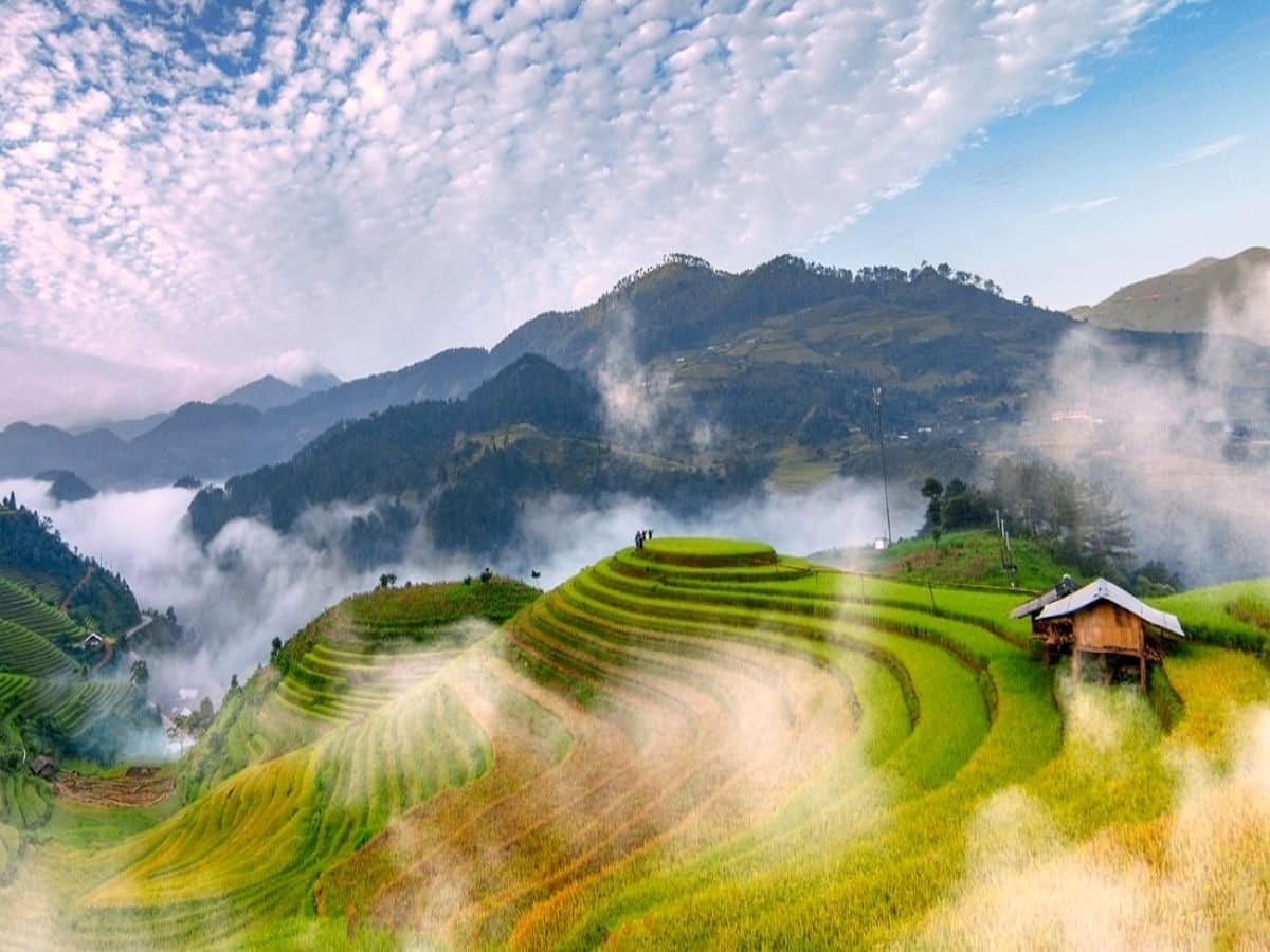 Hành trình 3 ngày 2 đêm kết hợp Mù Cang Chải và Sa Pa giàu trải nghiệm.
