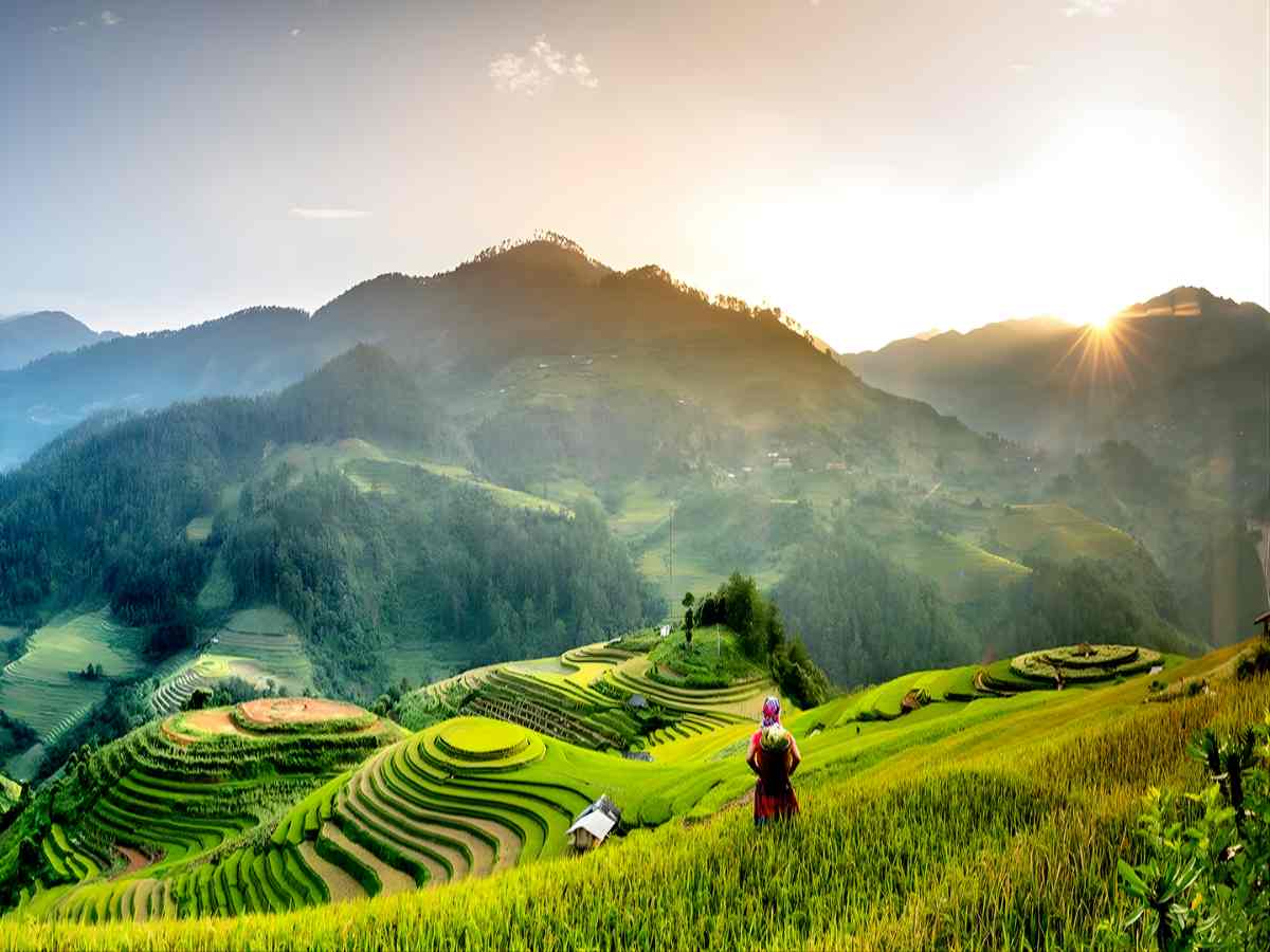 Ruộng bậc thang Tây Bắc mang vẻ đẹp đặc trưng gắn với địa hình và mùa vụ.