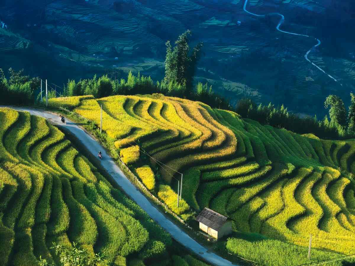 Ruộng bậc thang Banaue tại Philippines thể hiện kỹ thuật canh tác lâu đời và bền vững.