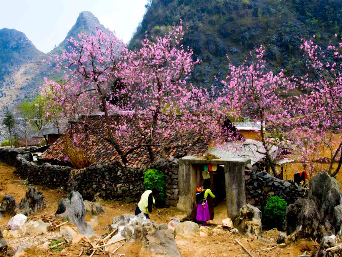 Tây Bắc mùa xuân nổi bật với thiên nhiên nhiều lớp và khí hậu mát mẻ đặc trưng.