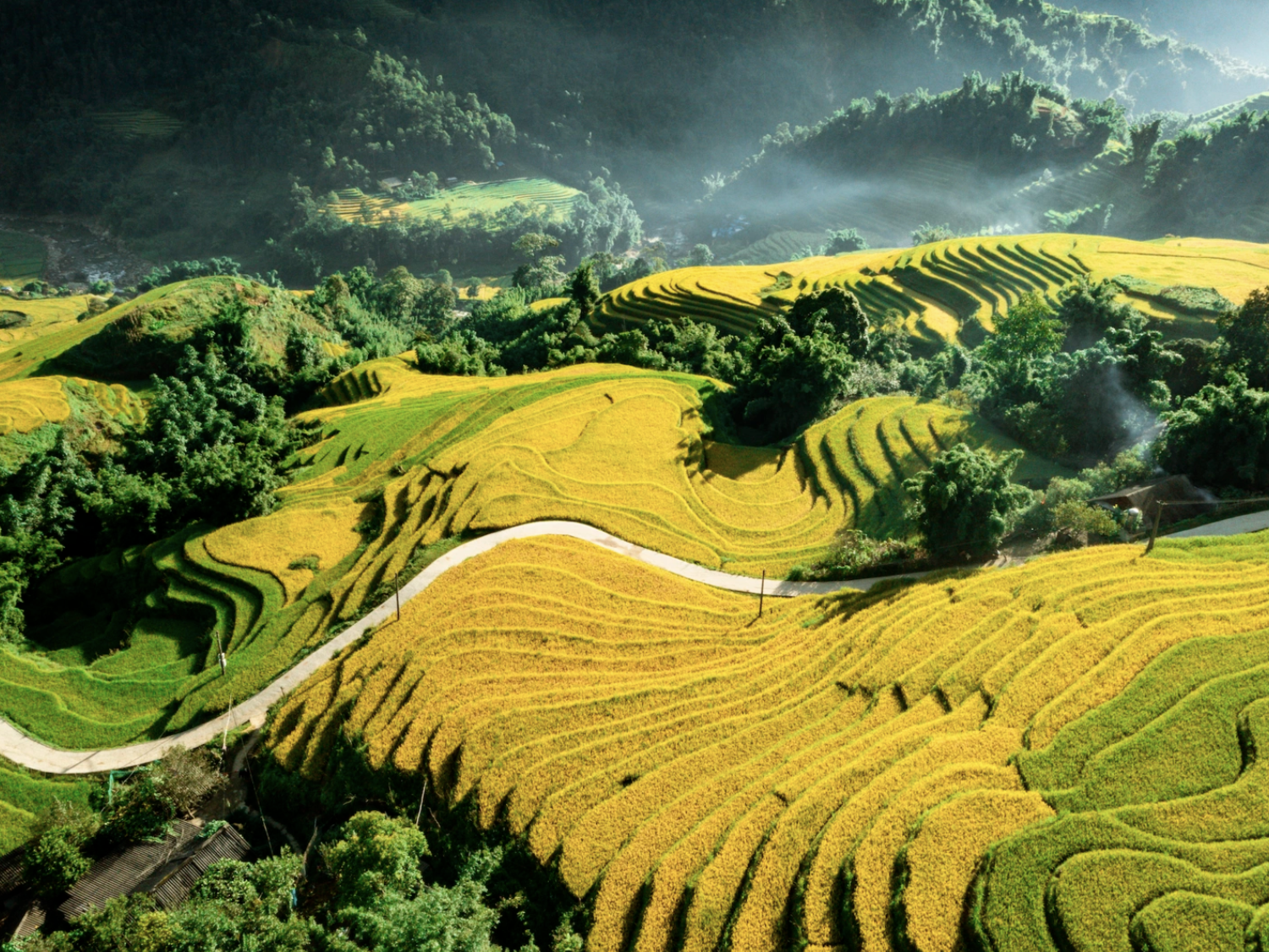 Sa Pa là điểm đến lý tưởng quanh năm. Ngoài những thửa ruộng bậc thang vào mùa lúa chín. (Nguồn: Sưu tầm)