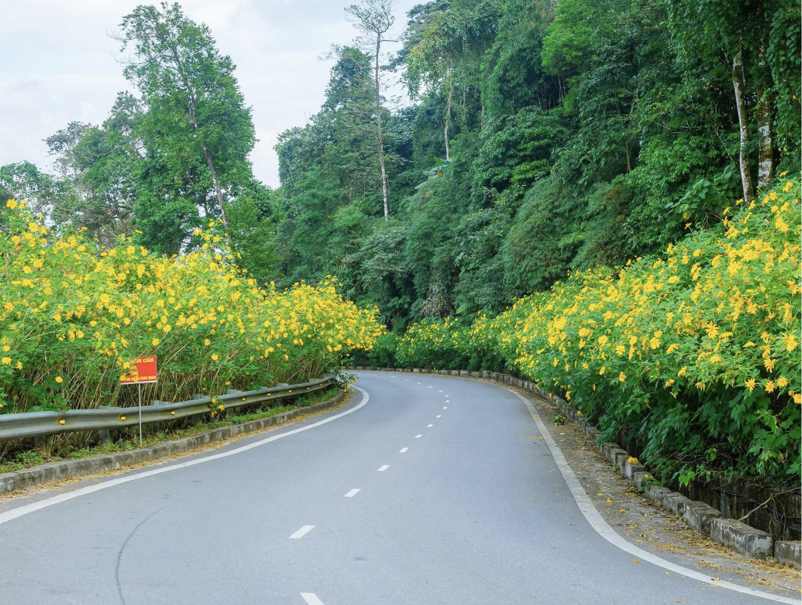 Vườn Quốc gia Ba Vì, nơi sở hữu hệ sinh thái đa dạng cùng nhiều cung đường tham quan uốn lượn dưới tán rừng