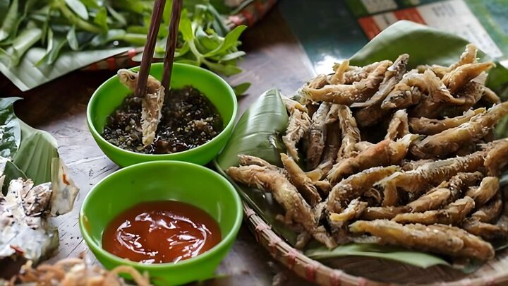 visitphuquoc