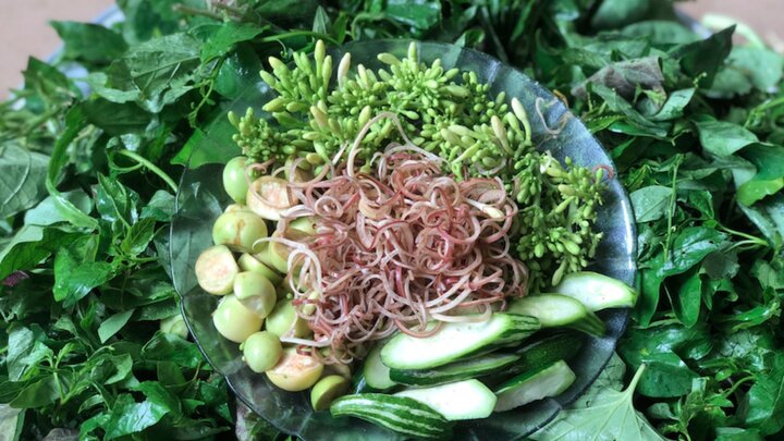 visitphuquoc