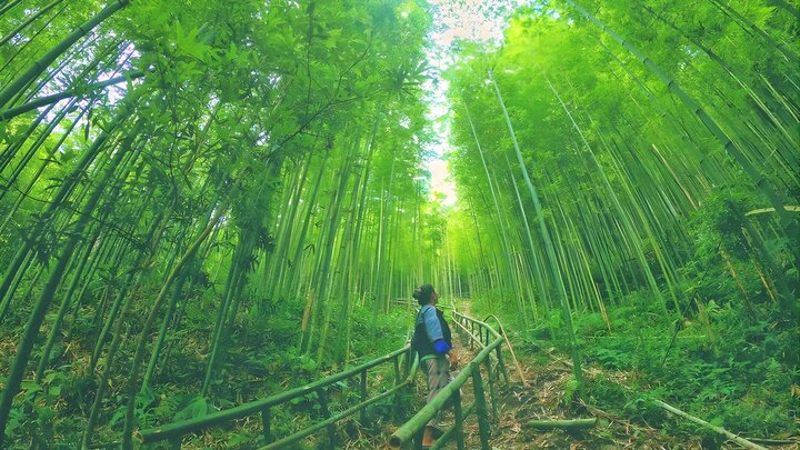 visitphuquoc