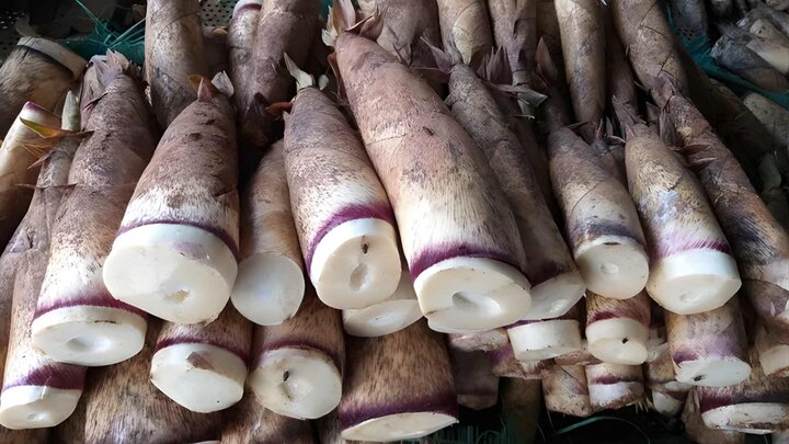 visitphuquoc
