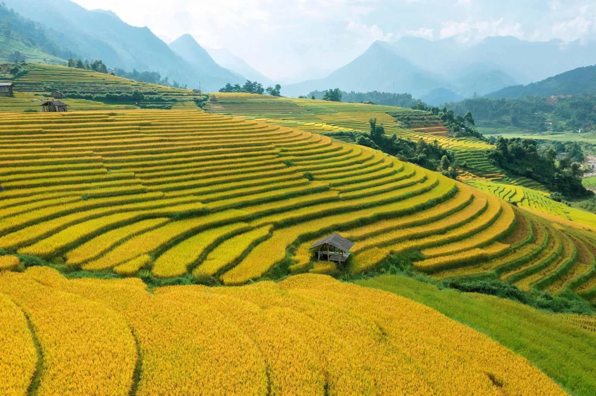 Ruộng bậc thang trải dài trong thung lũng Mường Hoa tạo nên khung cảnh nổi bật cho những bức ảnh du lịch Sa Pa đầu thu.
