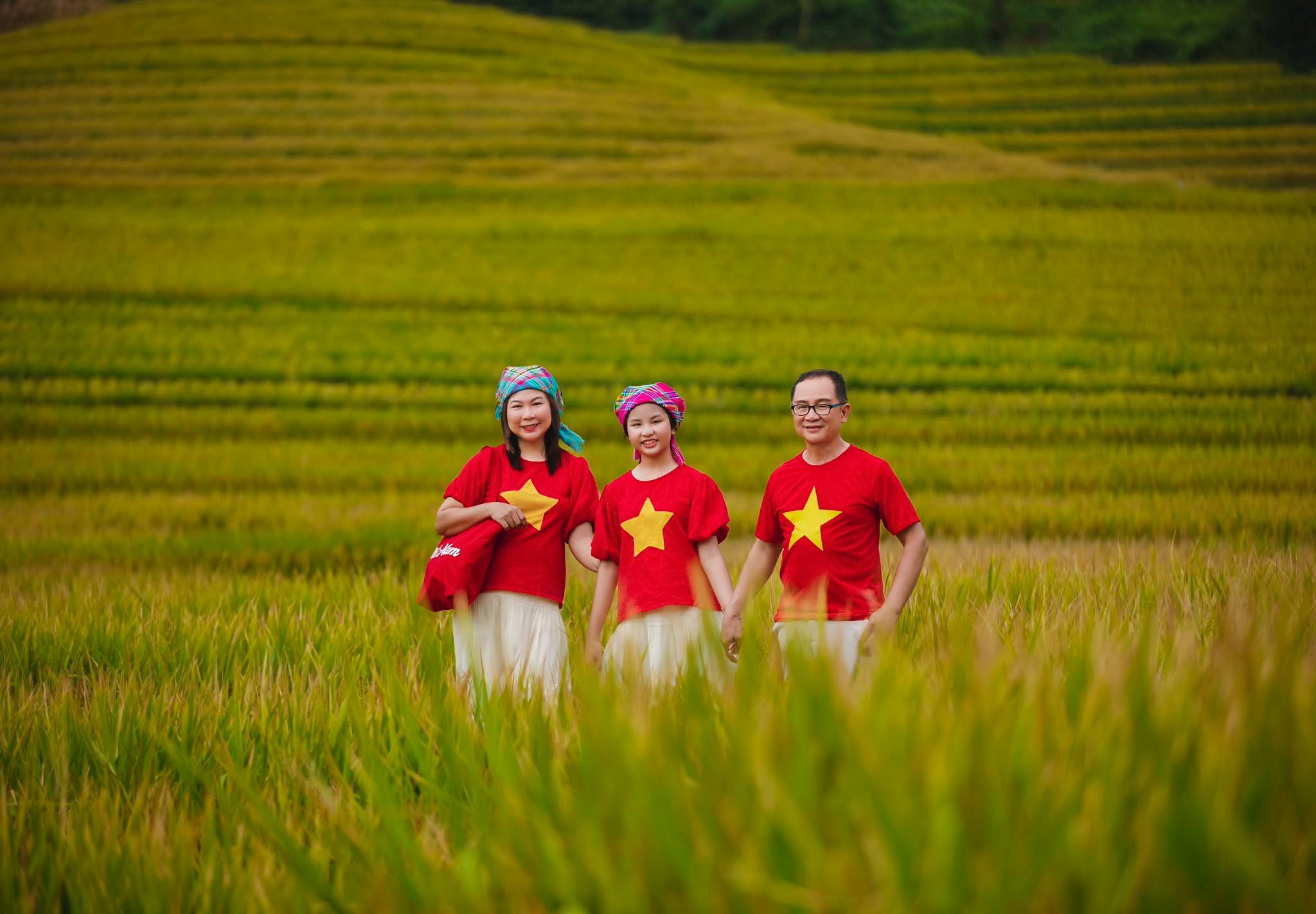 Những thửa ruộng bậc thang bắt đầu chuyển sắc vàng khi thu về ở Sa Pa. 