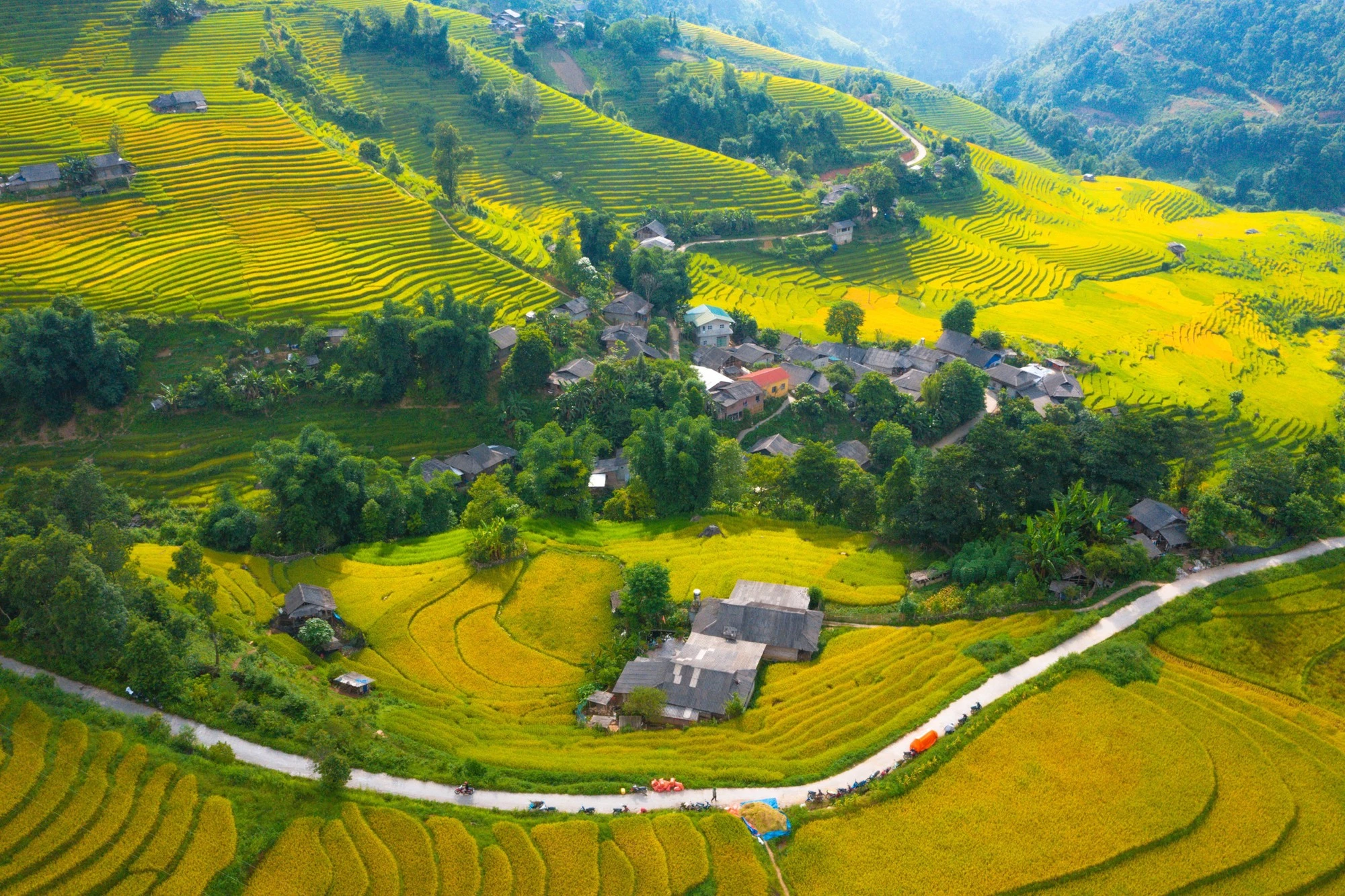 Mùa lúa chín nhuộm vàng những thửa ruộng bậc thang trải dài khắp thung lũng Sa Pa.
