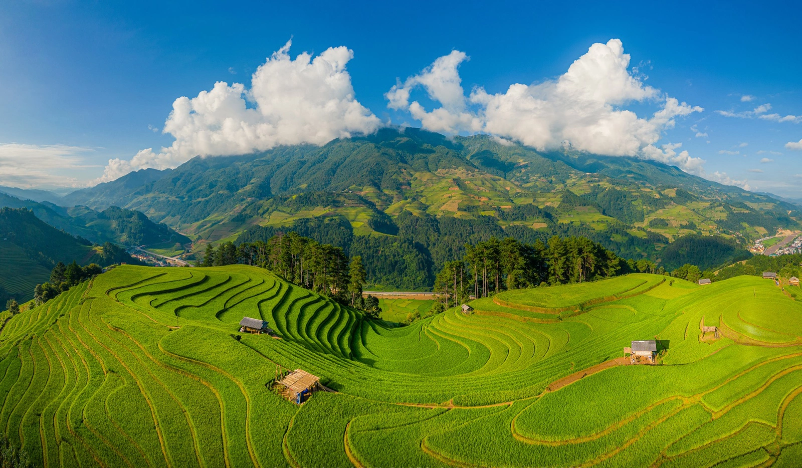 Mùa lúa chín phủ sắc vàng lên những thửa ruộng bậc thang Mù Cang Chải.