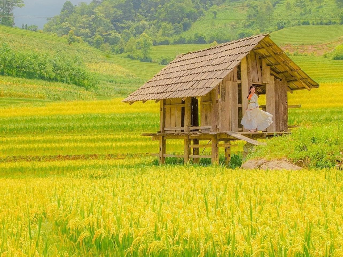 Du khách thư giãn trong không gian yên bình của bản làng Sa Pa trong mùa vàng.