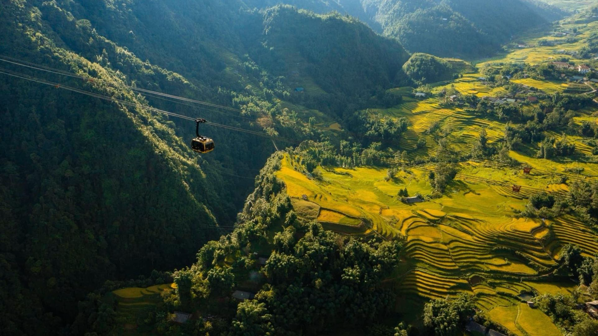 Sắc vàng trù phú của những ruộng bậc thang trải dài khắp thung lũng Mường Hoa. 