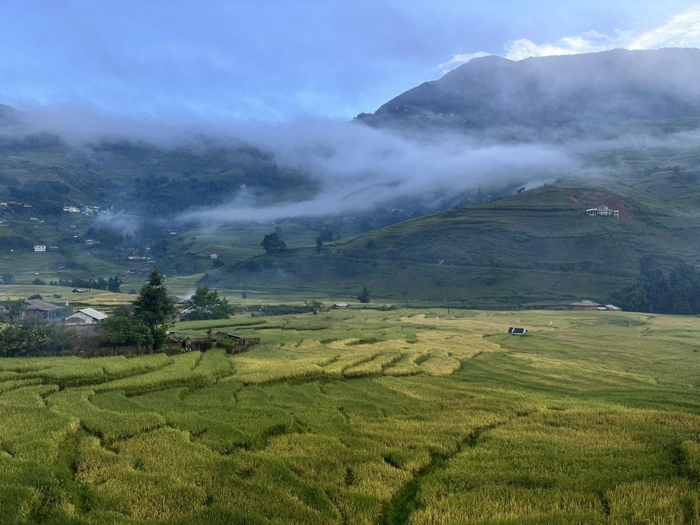 Những thửa ruộng bậc thang Sa Pa chuyển sắc vàng giữa núi rừng Tây Bắc.