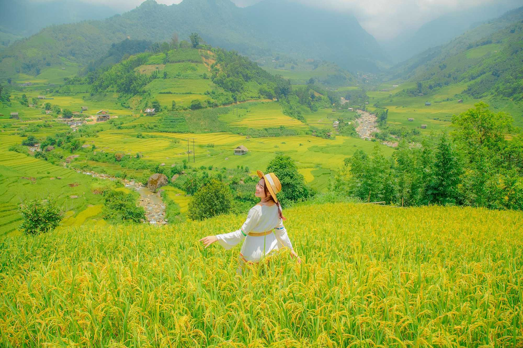 Ruộng bậc thang Sa Pa phủ sắc vàng giữa núi rừng Tây Bắc khi vào mùa thu. 