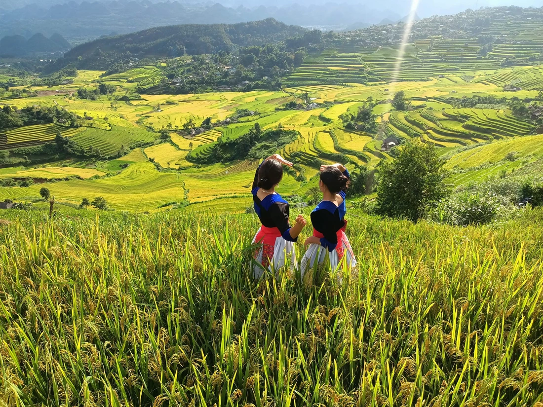 Những thửa ruộng vàng xen giữa bản làng và núi rừng Tam Đường. 