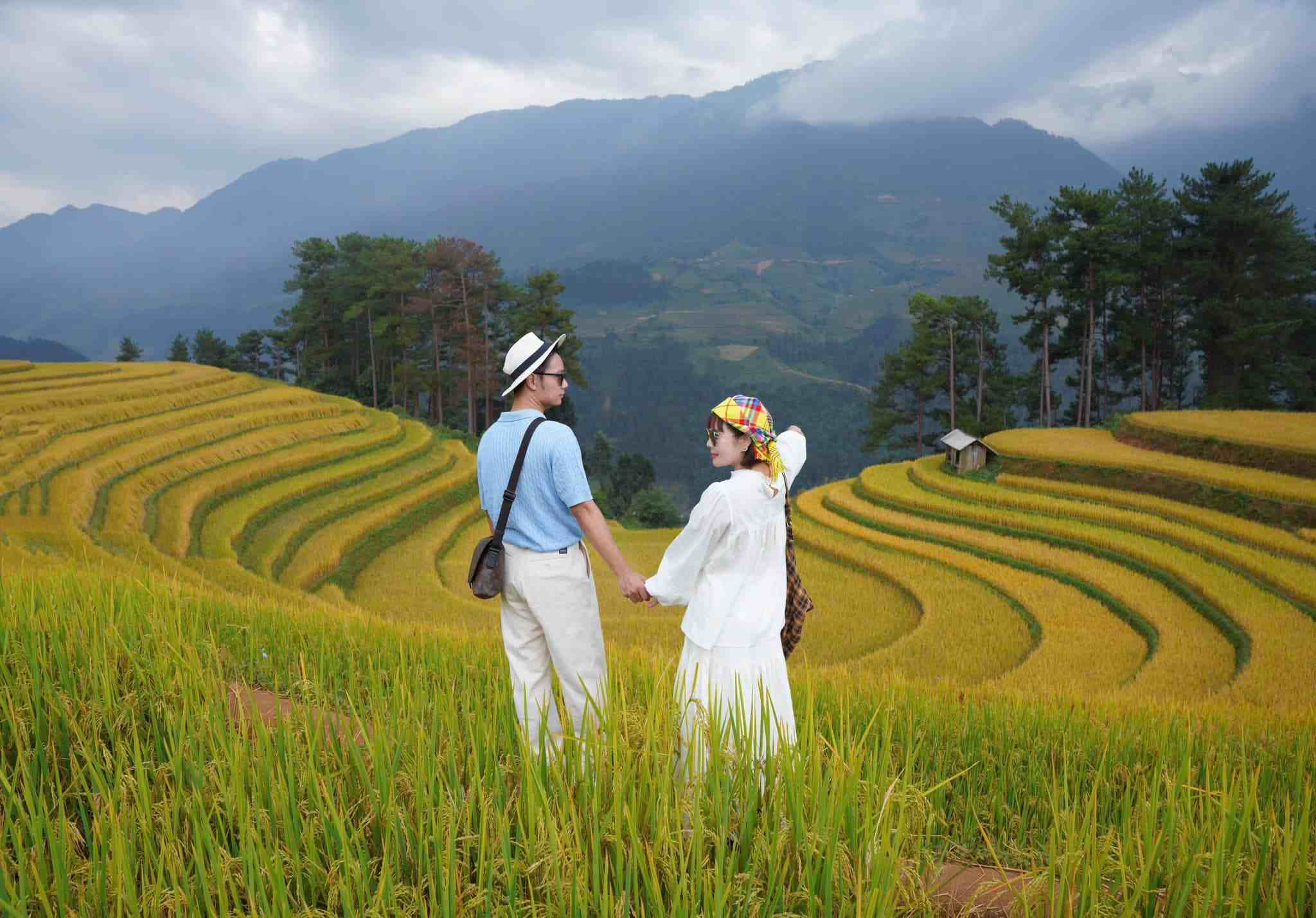 Những thửa ruộng bậc thang La Pán Tẩn vàng óng trong mùa lúa chín. 