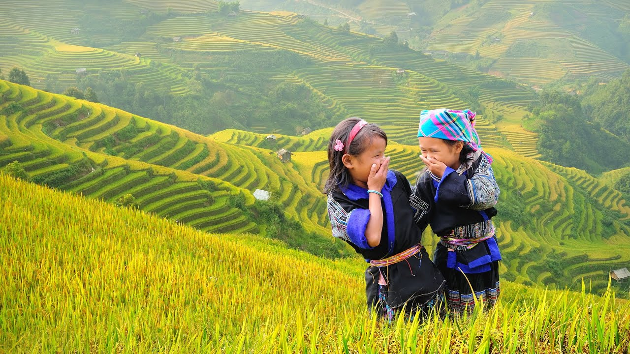Mùa thu cũng là thời điểm những triền ruộng bậc thang tại bản làng Tây Bắc chín vàng ươm. 