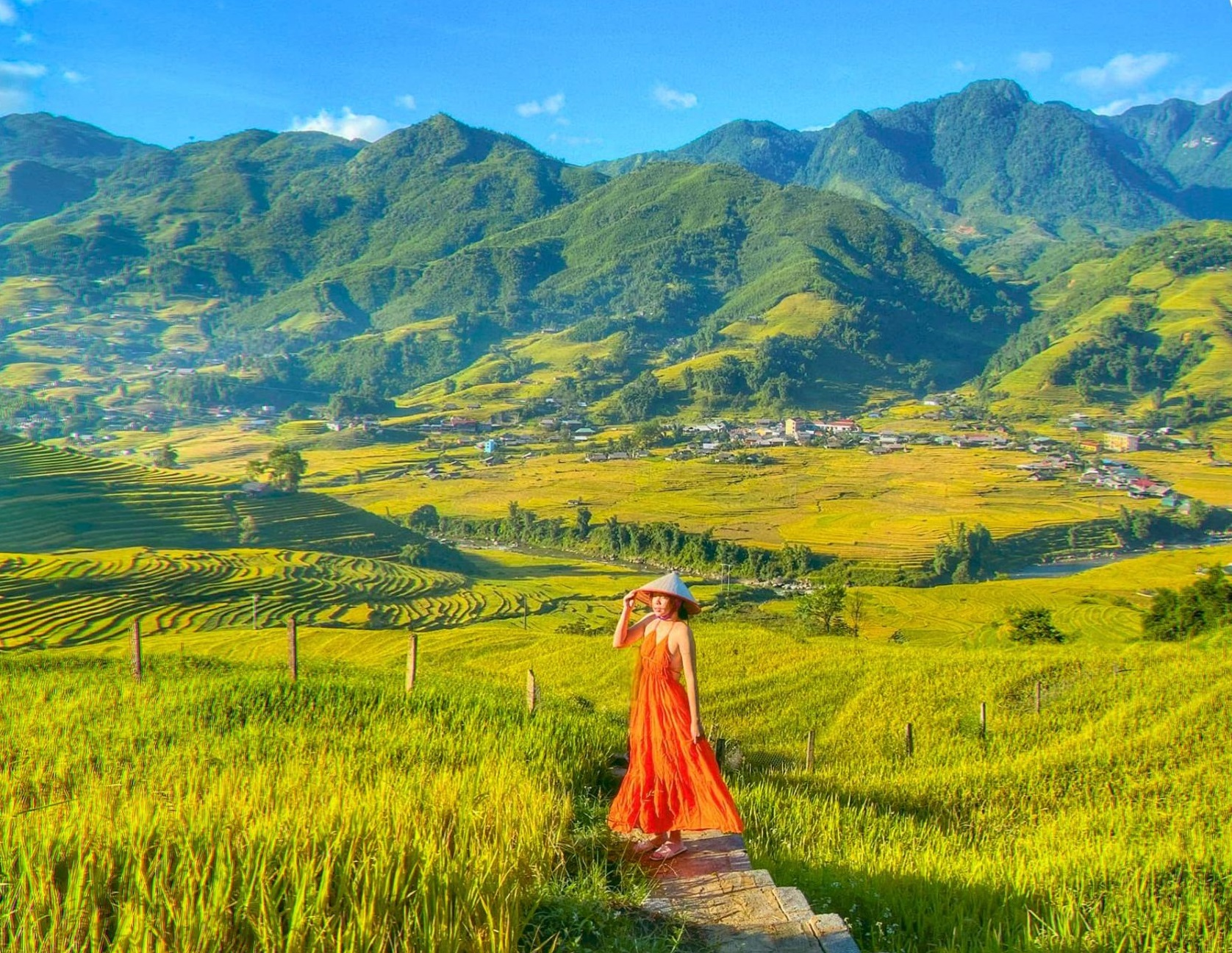 Mùa lúa chín phủ sắc vàng lên những thửa ruộng bậc thang Sa Pa trong những ngày đầu thu.