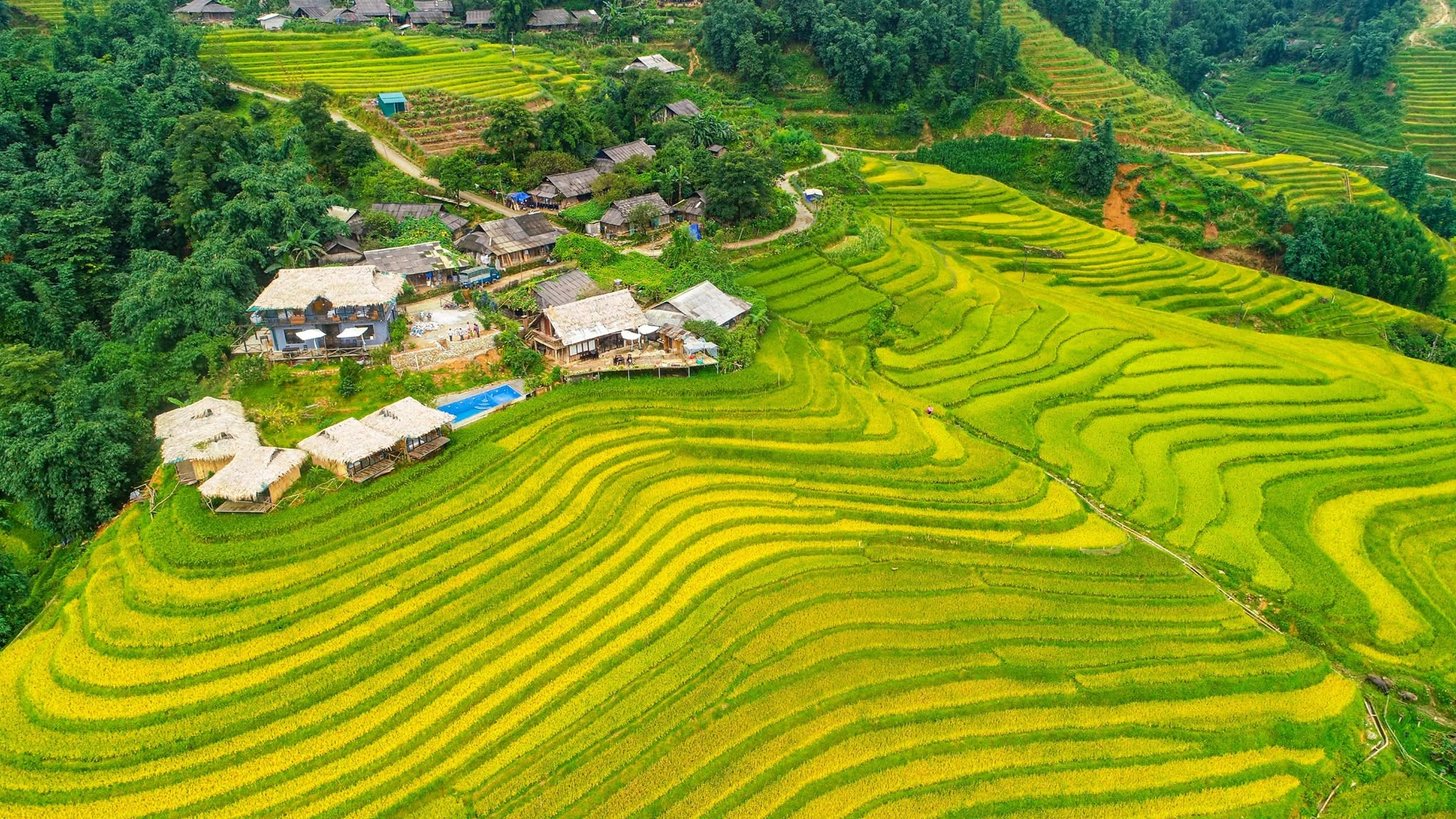 Những thửa ruộng và nếp nhà vùng cao tạo nên khung cảnh bình yên tại bản Tả Phìn vào mùa thu. 