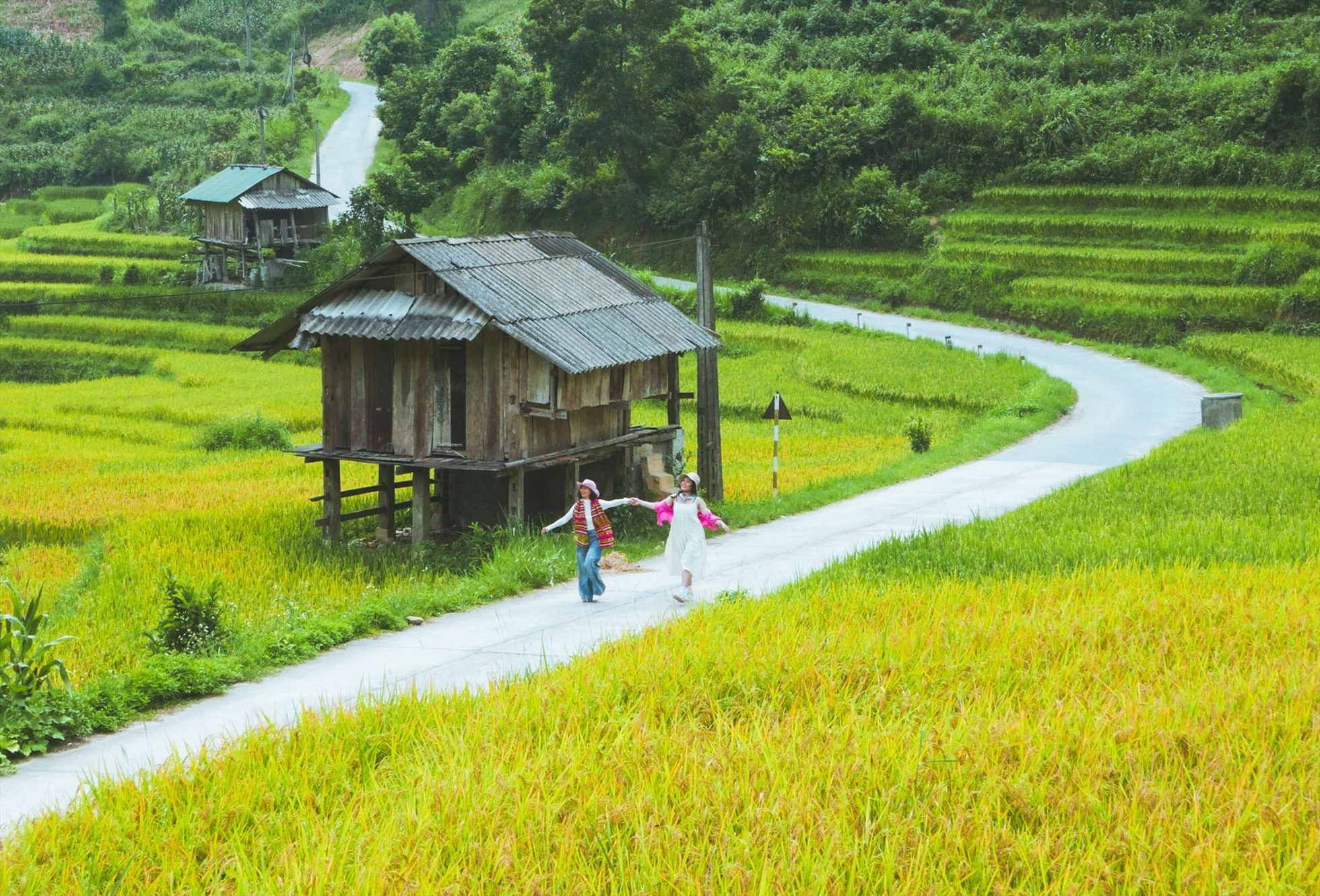 Mùa vàng Nậm Cang nổi bật giữa những thung lũng hẹp và địa hình đá tai mèo đặc trưng vùng cao.