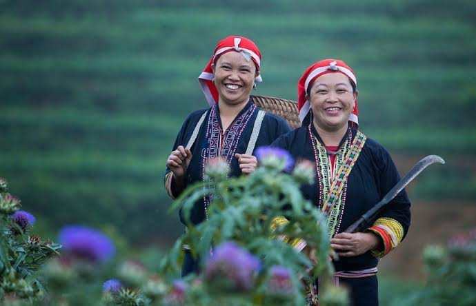 Dân tộc Dao đỏ là một trong những cộng đồng dân tộc phổ biến tại Sa Pa
