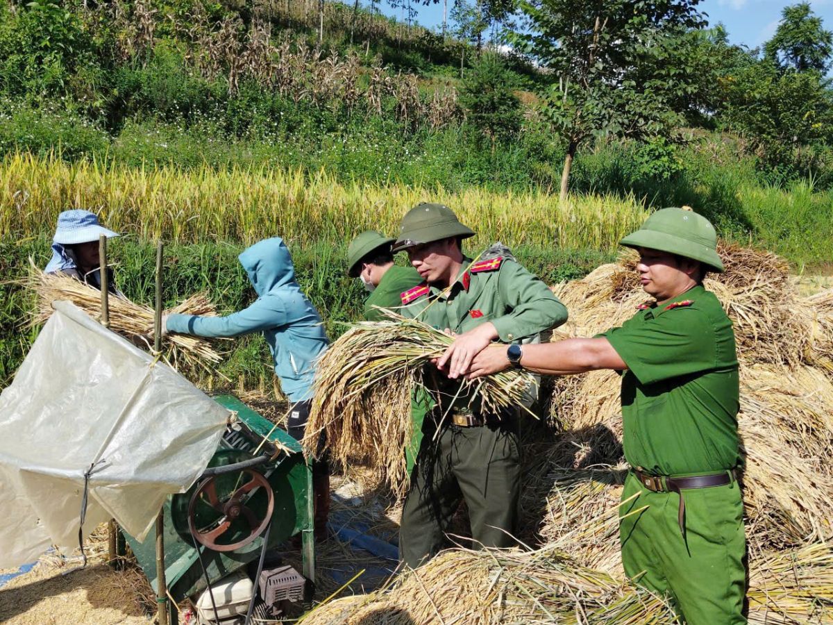 Nhiều trải nghiệm hấp dẫn tại Sín Chéng Lào Cai. (Nguồn: Sưu tầm)