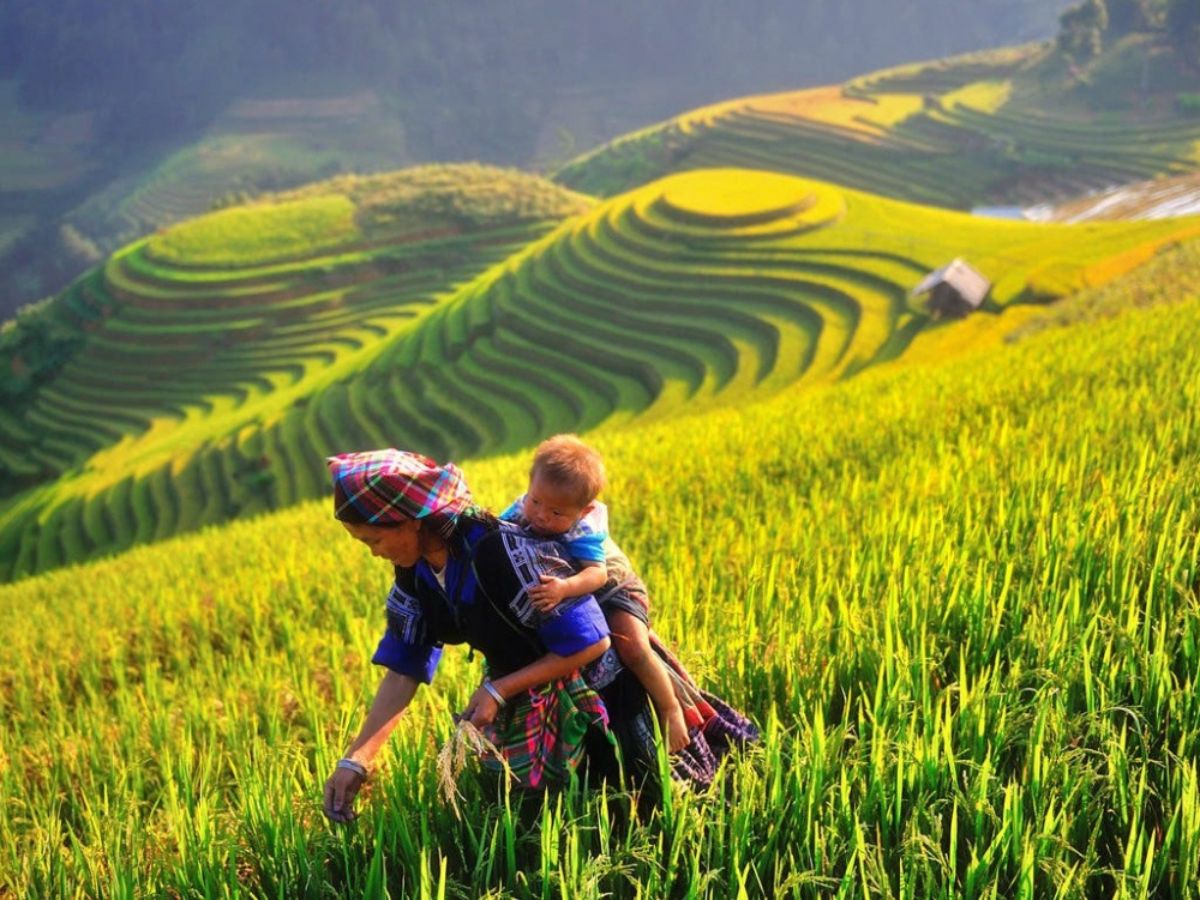 Sín Chéng Lào Cai là điểm du lịch hấp dẫn. (Nguồn: Sưu tầm)