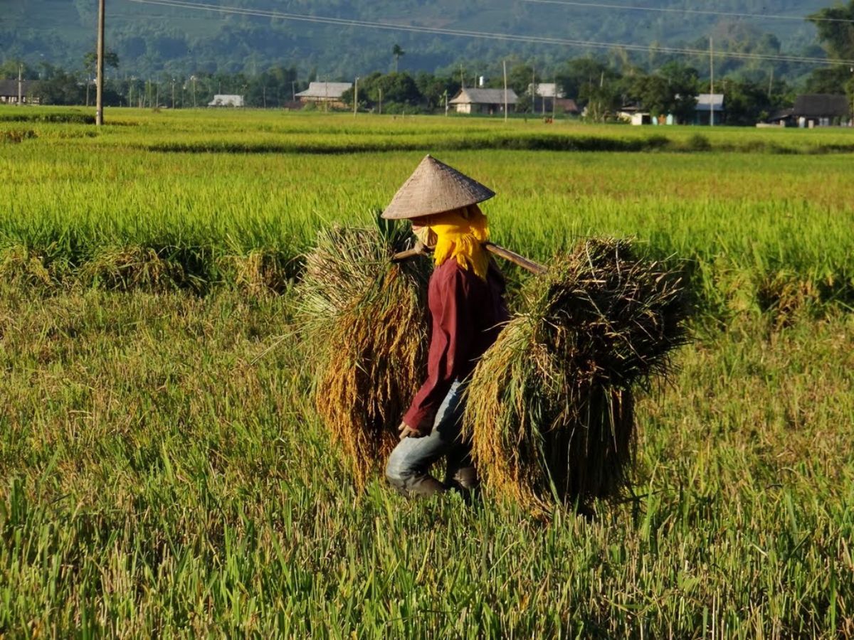 Sín Chéng Lào Cai có cộng đồng người Mông sinh sống. (Nguồn: Sưu tầm)