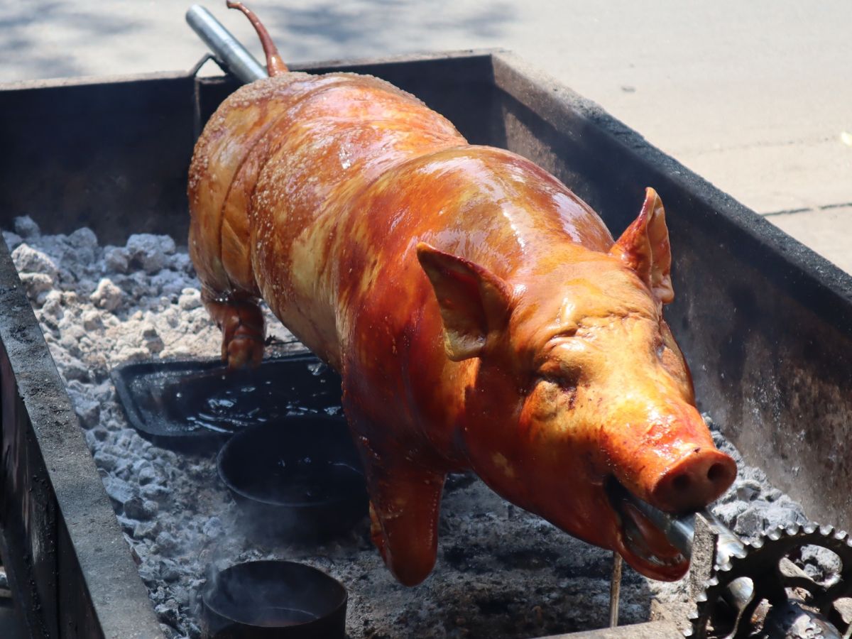Lợn bản quay là món đặc sản hấp dẫn vùng núi. (Nguồn: Sưu tầm)