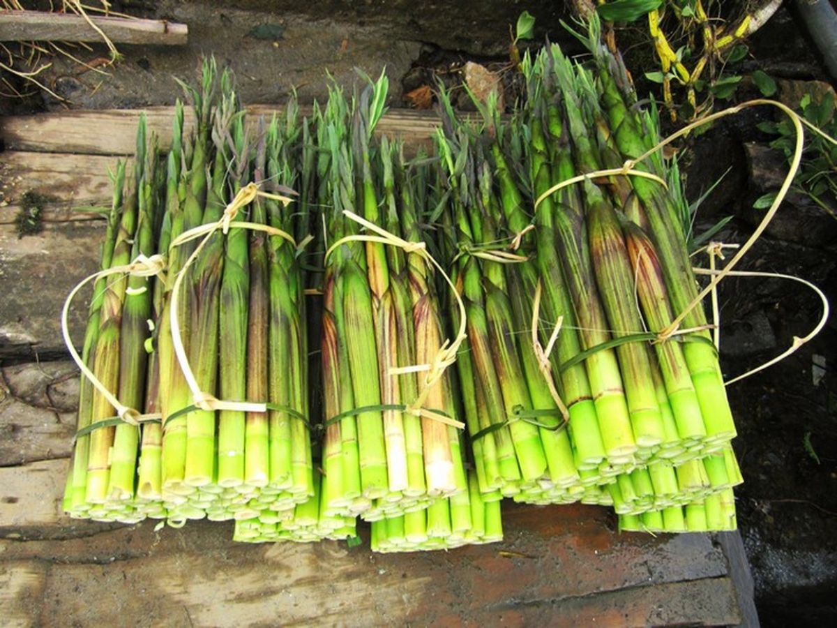 Rau rừng Tây Bắc là món đặc sản hấp dẫn. (Nguồn: Sưu tầm)