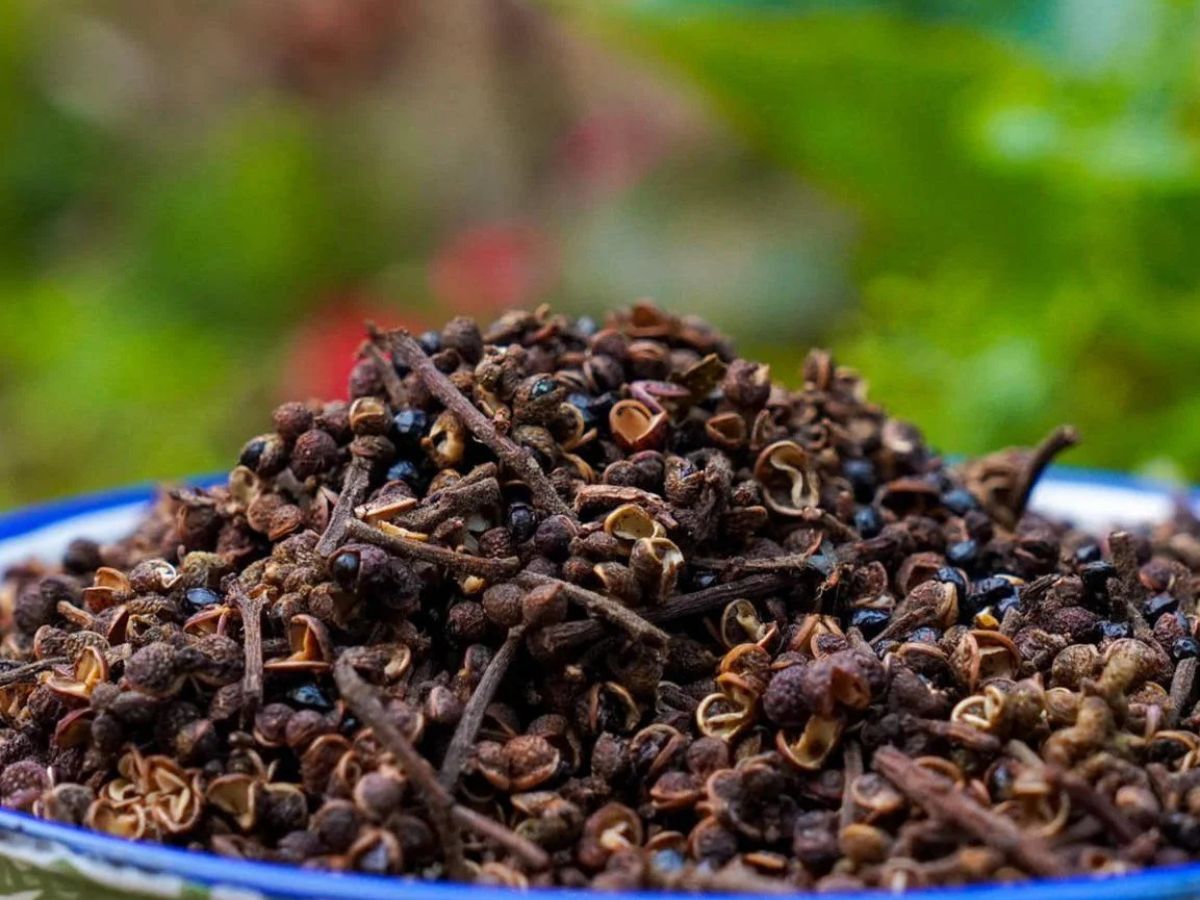 Hạt dổi mắc khén có hương vị đặc trưng. (Nguồn: Sưu tầm)