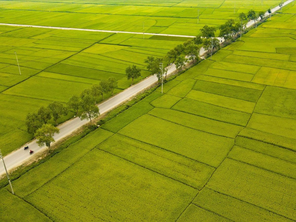 Thanh” chính là Cánh đồng Mường Thanh trù phú bậc nhất vùng Tây Bắc. (Nguồn: Sưu tầm)