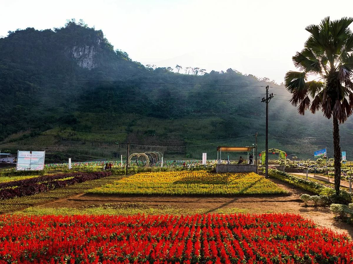 Bình nguyên xanh Khai Trung là điểm du lịch hấp dẫn. (Nguồn: Sưu tầm)