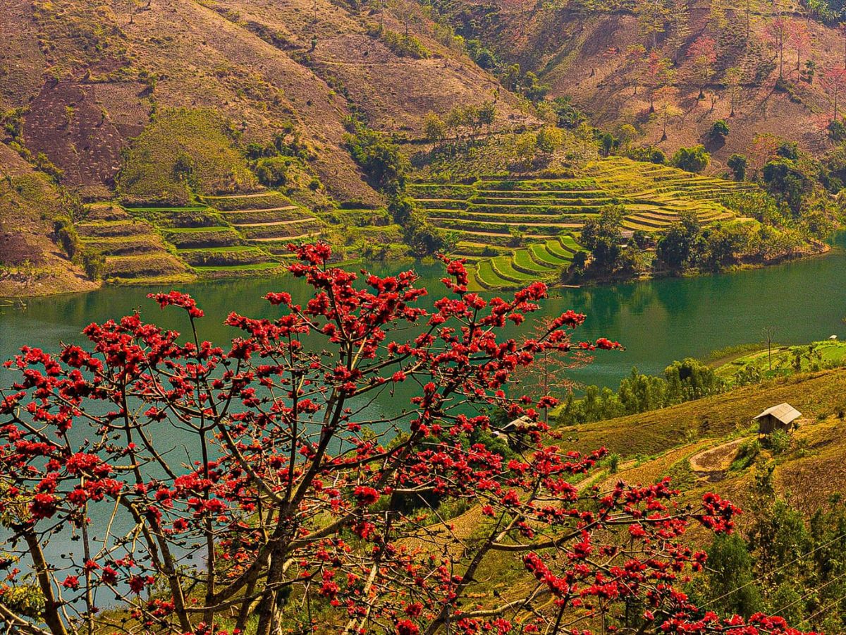 Lưu ý quan trọng khi đi du lịch Tây Bắc mùa hoa gạo. (Nguồn: Sưu tầm)