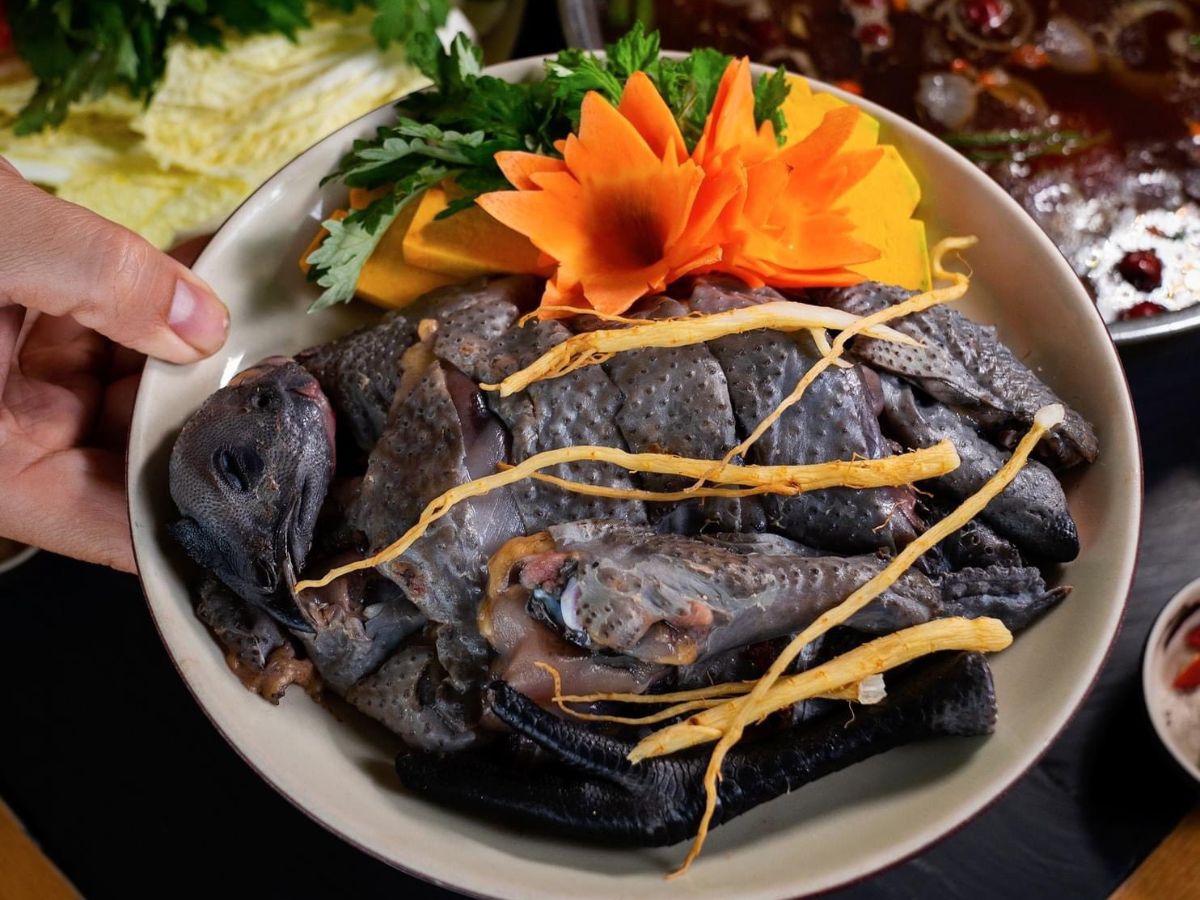 Bí kíp để chọn quán lẩu ngon ở thành phố Lào Cai. (Nguồn: Sưu tầm)