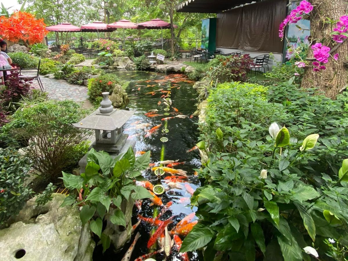 RuBy Coffee Cá Koi là quán cafe view đẹp thành phố Lào Cai được yêu thích. (Nguồn: Sưu tầm)