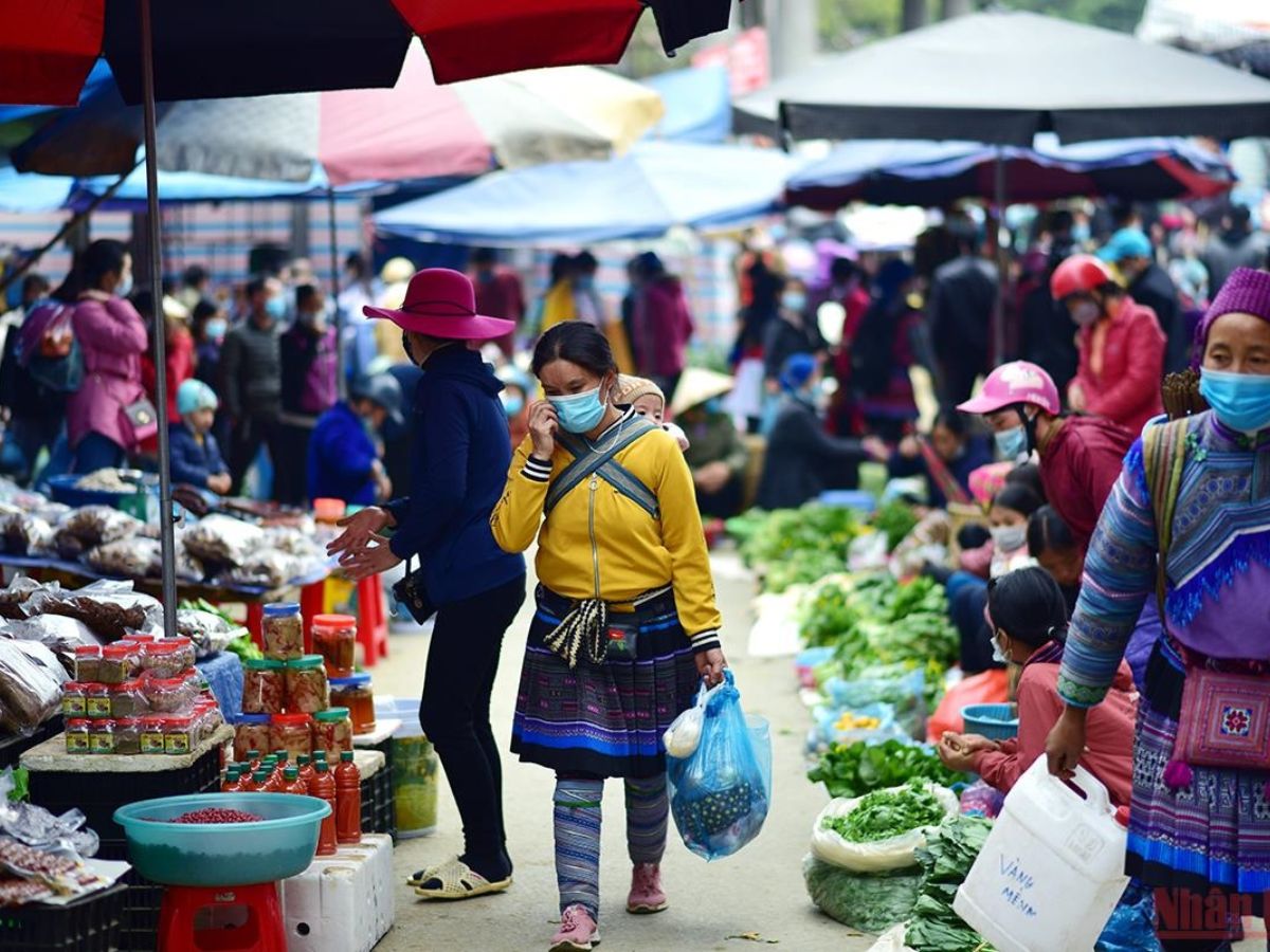 Tìm hiểu kỹ khi chọn đặc sản thành phố Lào Cai mua làm quà. (Nguồn: Sưu tầm)