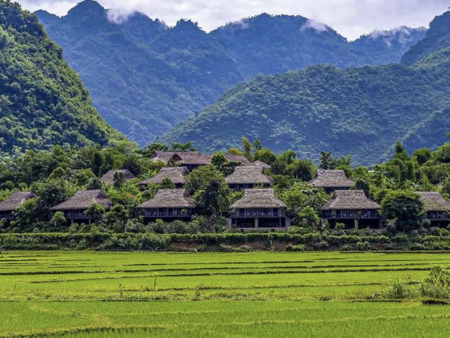 Người Thái nơi đây vẫn sống trong những ngôi nhà sàn truyền thống cao ráo, mái lá cọ và sàn gỗ mộc. (Nguồn: Sưu tầm)