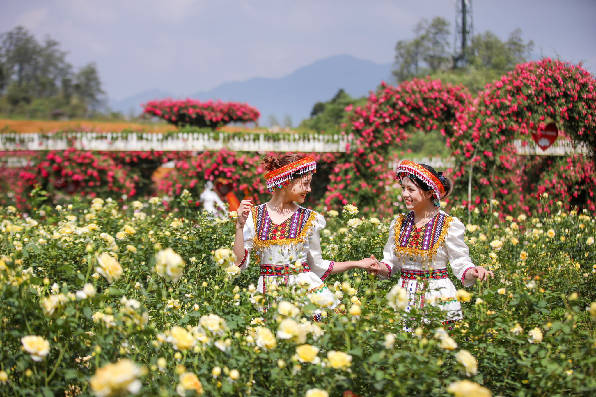 Không khí mát lành và sắc hoa rực rỡ làm nên vẻ đẹp tươi sáng của Fansipan mùa hè. (Nguồn: Sưu tầm)