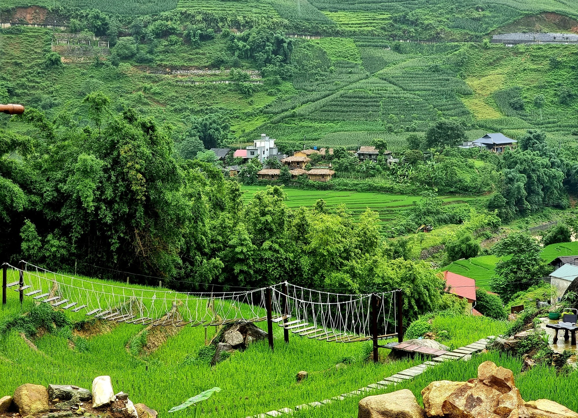 Những thửa ruộng bậc thang trải dài giữa thung lũng tạo nên vẻ đẹp mộc mạc của bản Tả Van. (Nguồn: Sưu tầm)