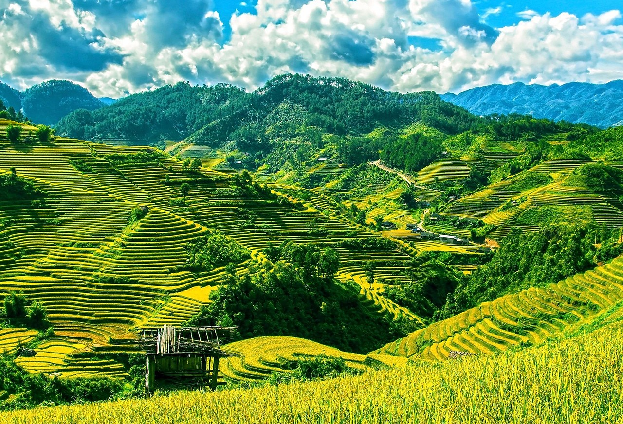 Thung lũng Mường Hoa trải rộng giữa những dãy núi và ruộng bậc thang của Sa Pa. (Nguồn: Sưu tầm)