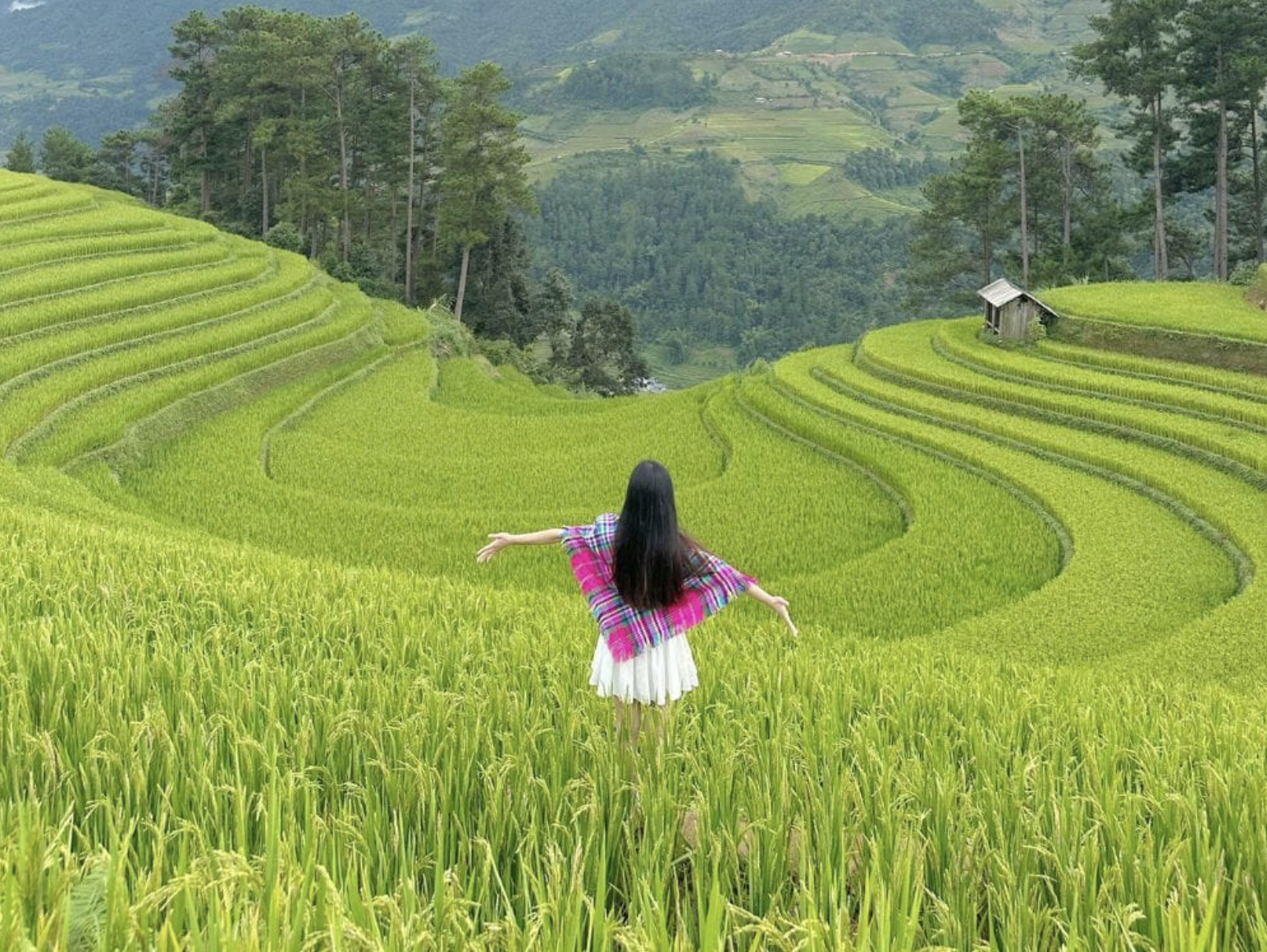 Mù Cang Chải – vùng đất nổi tiếng với những thửa ruộng bậc thang được xếp hạng danh thắng cấp quốc gia.