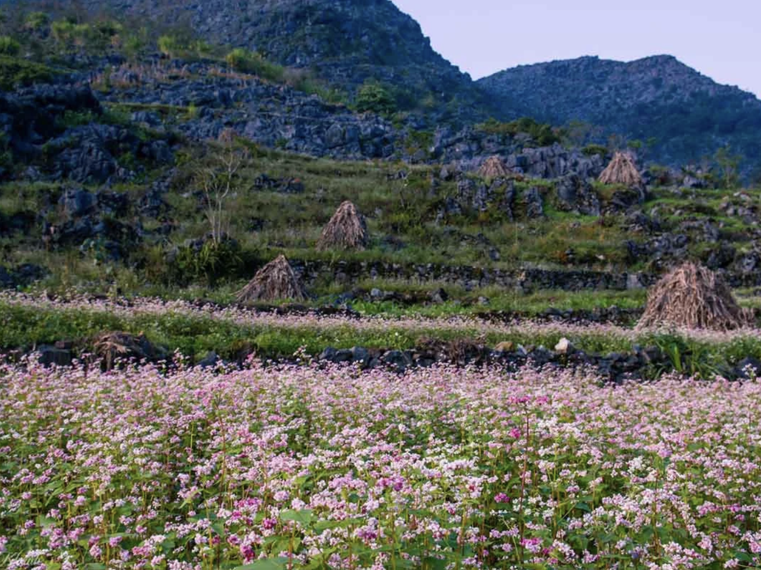 Du khách ngỡ ngàng trước vẻ đẹp thiên nhiên tại cao nguyên đá Đồng Văn. 