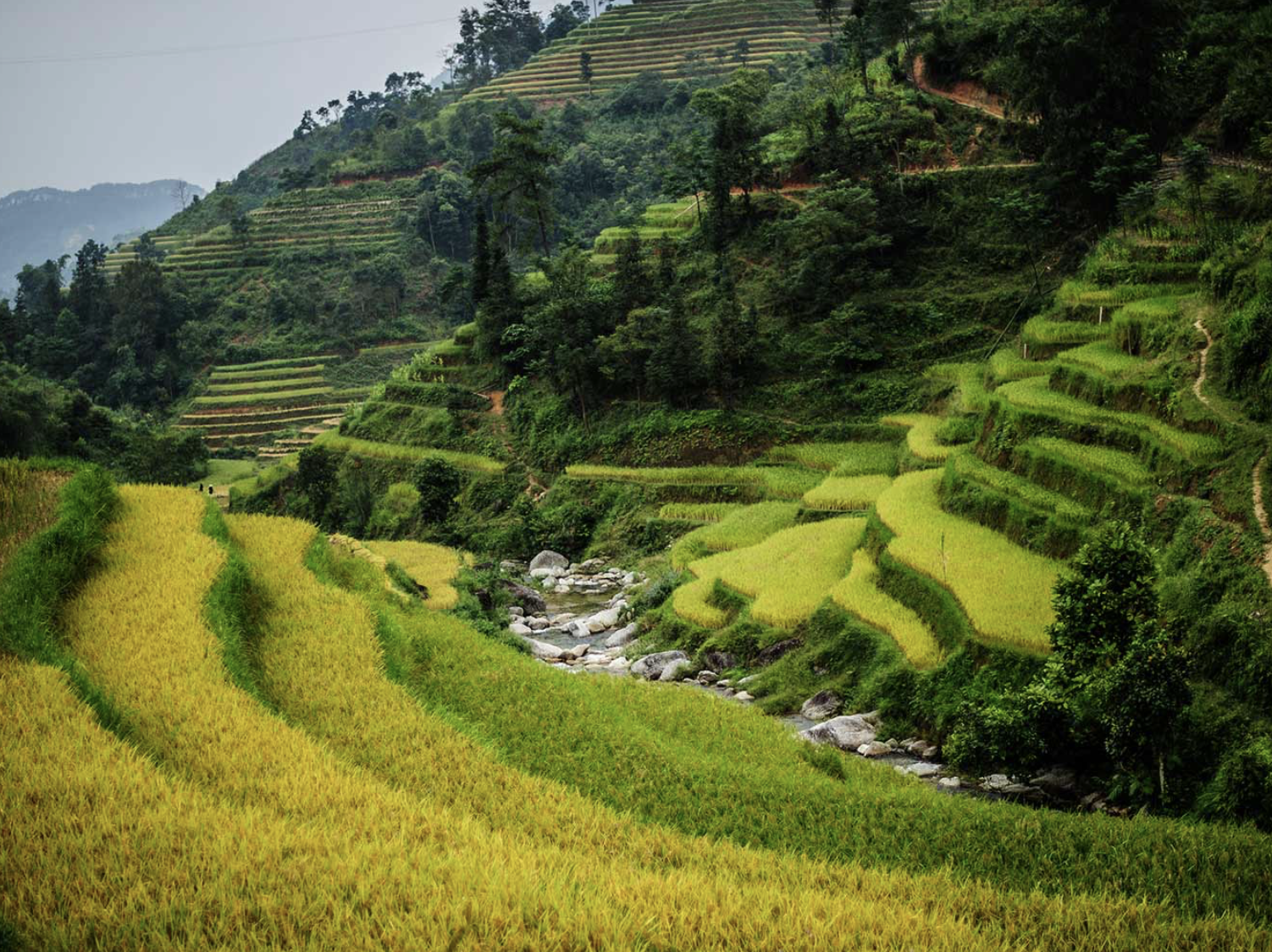Hoàng Su Phì mang một vẻ đẹp rất riêng, rất phong phú khiến du khách đều phải đặt chân đến đây để trực tiếp cảm nhận